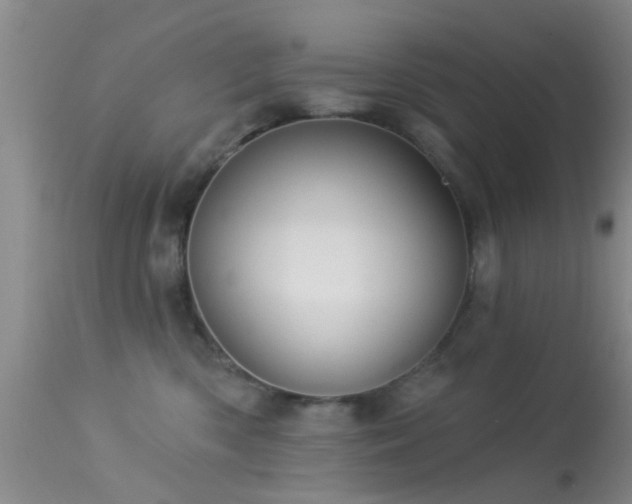 X0000113610426200909251147