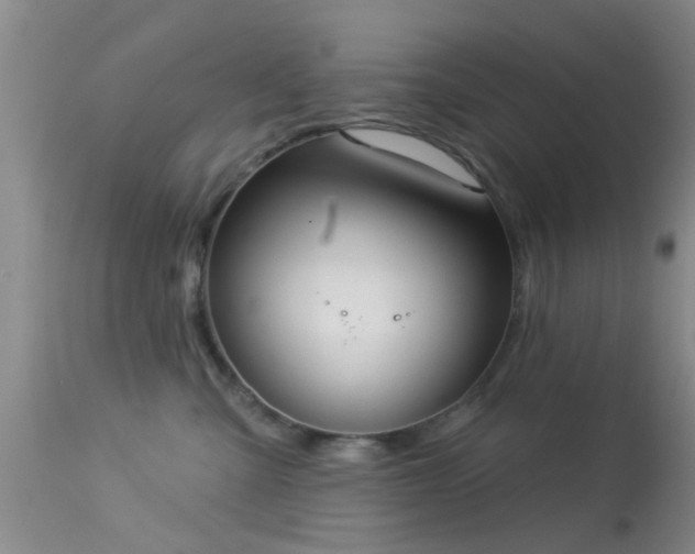 X0000113610427200909251147