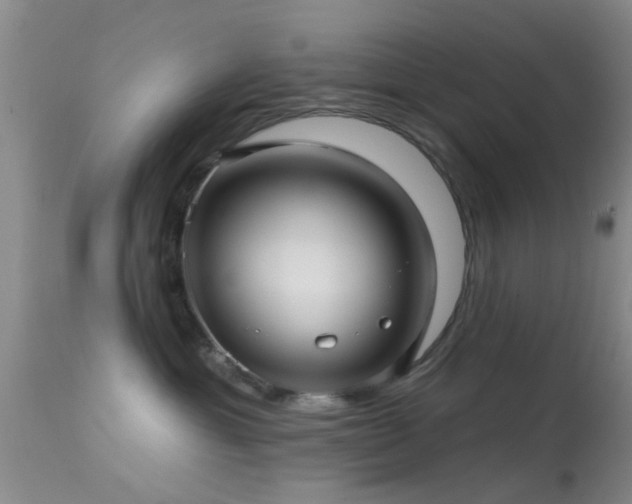 X0000113610429200909251147