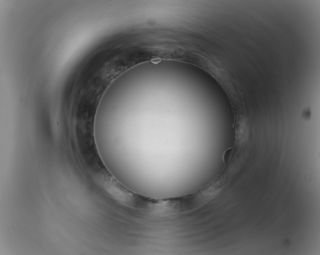 X0000113610430200909251147