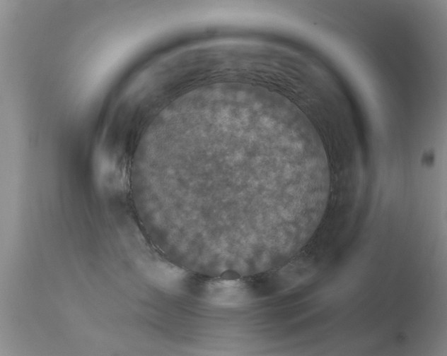 X0000113610431200909251147