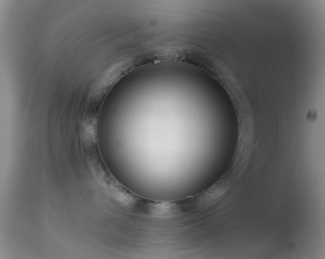 X0000113610432200909251147