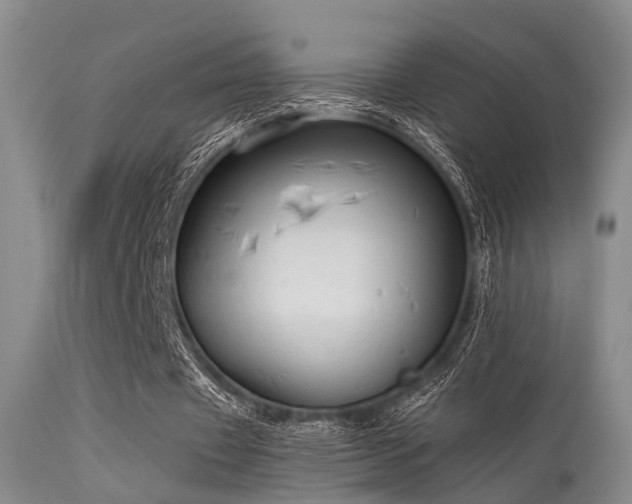 X0000113610433200909251146