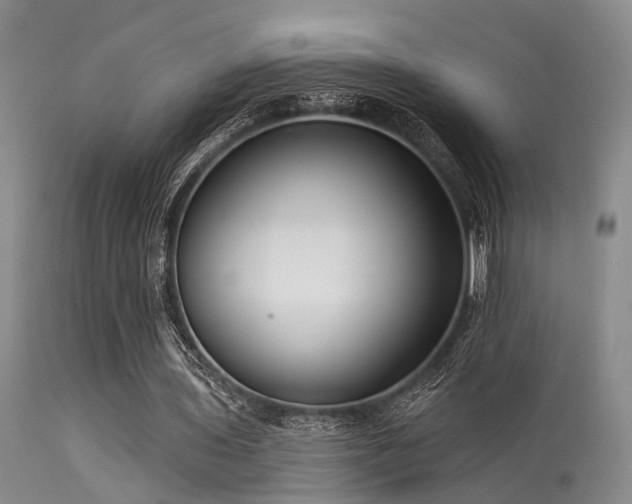 X0000113610435200909251146