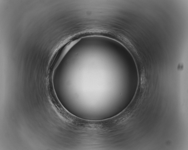 X0000113610436200909251146