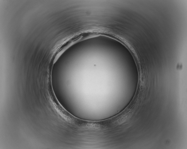 X0000113610437200909251146