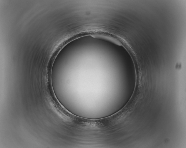 X0000113610439200909251146