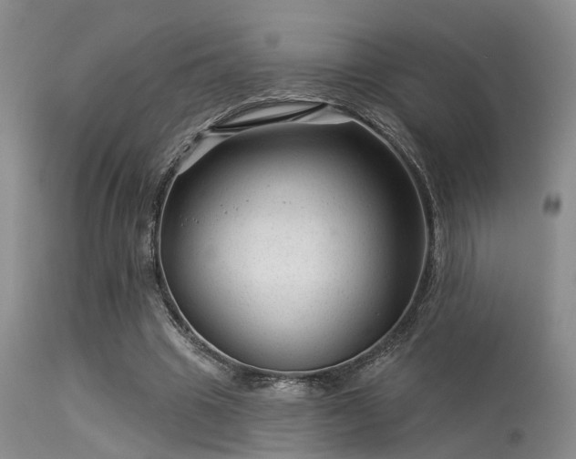 X0000113610441200909251146