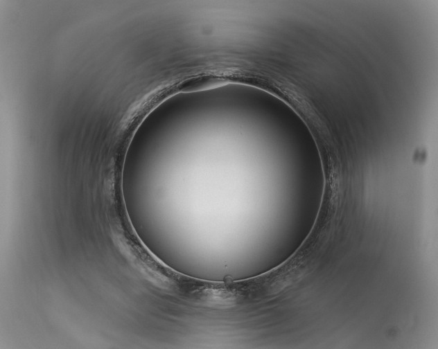 X0000113610442200909251146