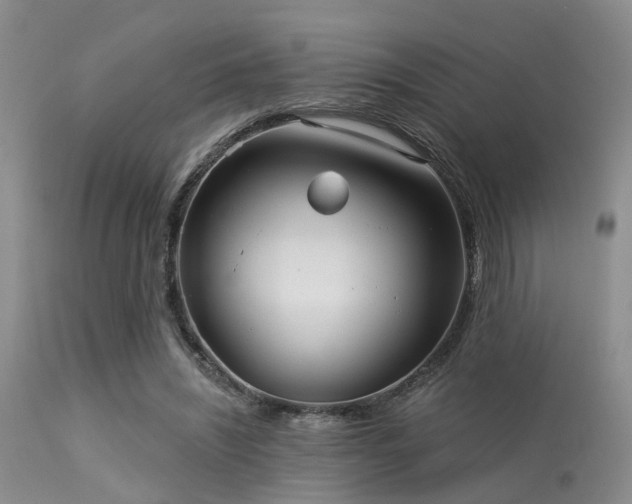 X0000113610444200909251146