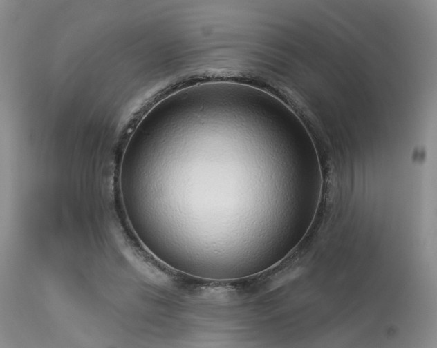 X0000113610446200909251146