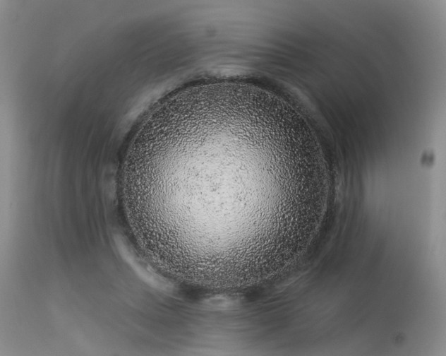 X0000113610447200909251146