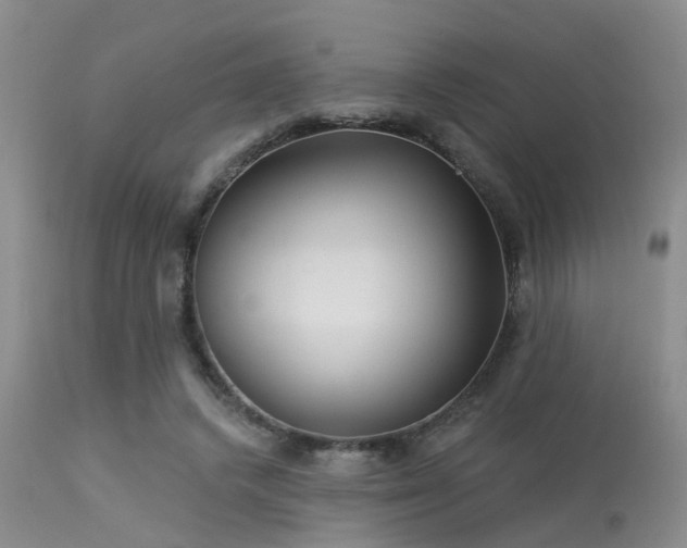 X0000113610448200909251146