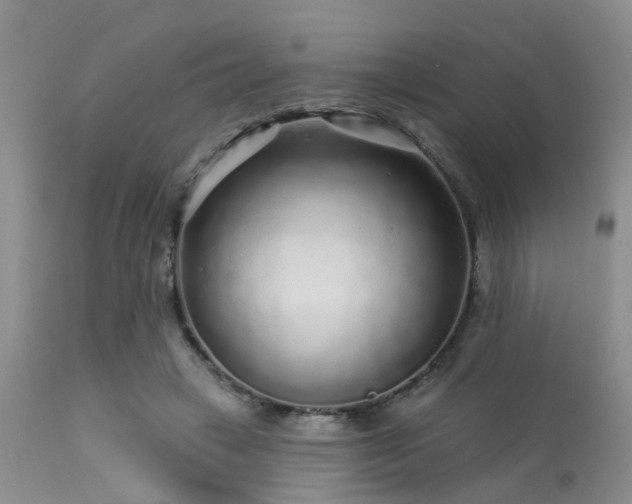 X0000113610449200909251146