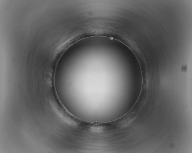 X0000113610450200909251146