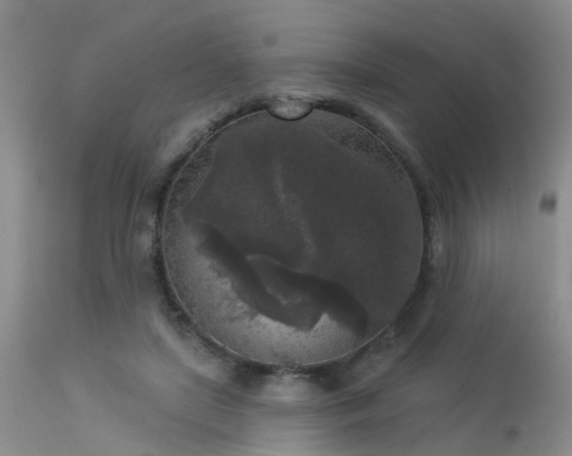 X0000113610451200909251146