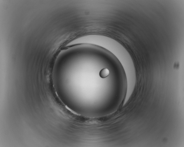 X0000113610452200909251146