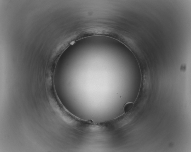 X0000113610453200909251146