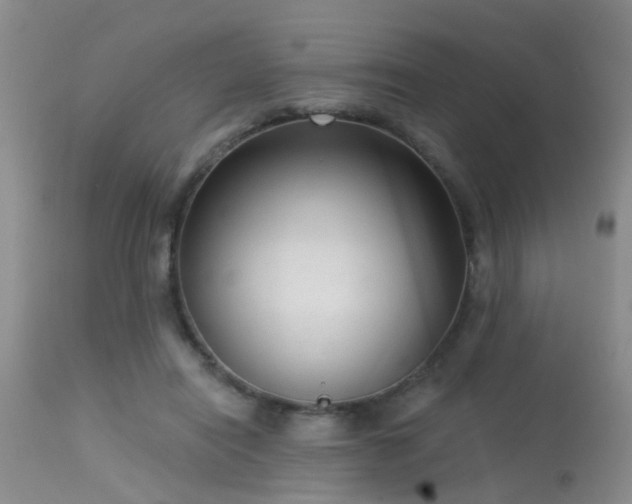 X0000113610454200909251146