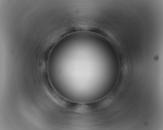 X0000113610459200909251146