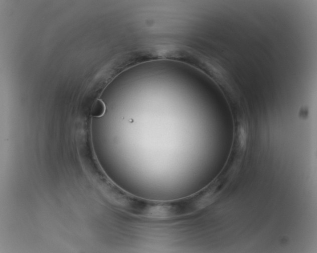 X0000113610461200909251147