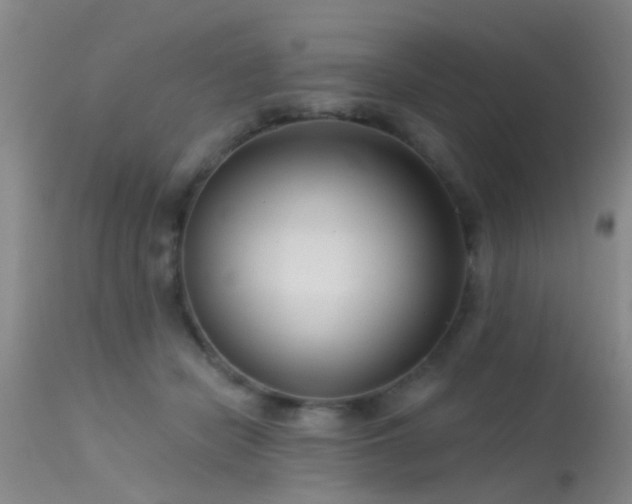 X0000113610462200909251147