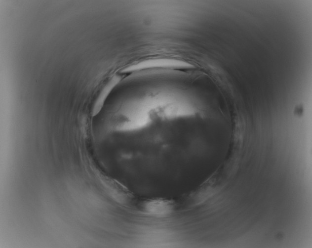 X0000113610465200909251147