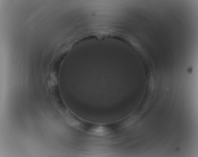 X0000113610467200909251147