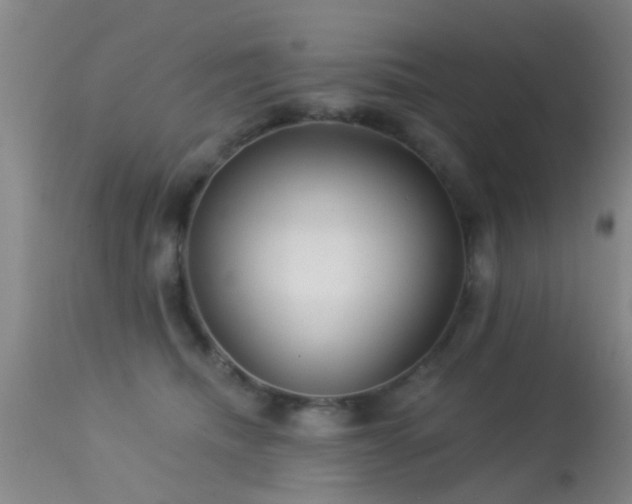 X0000113610468200909251147