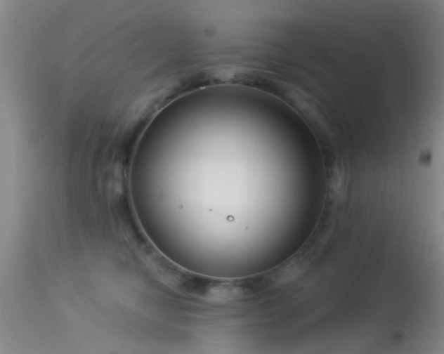 X0000113610470200909251147