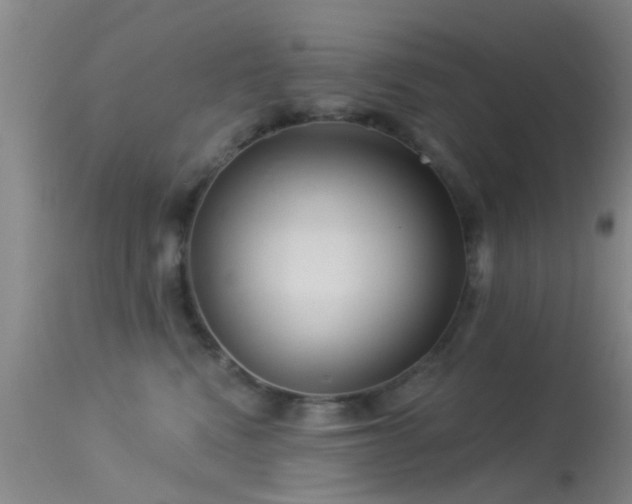 X0000113610472200909251147