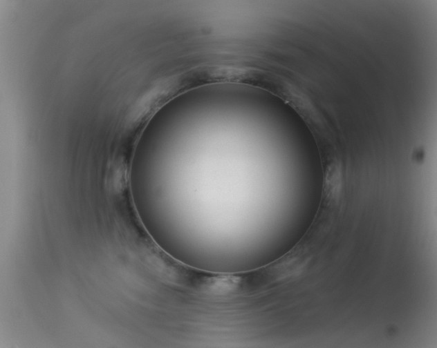 X0000113610474200909251147