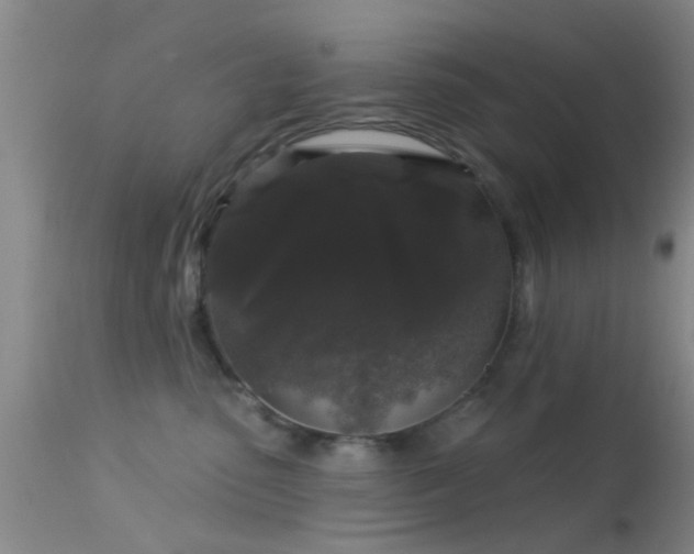 X0000113610475200909251147