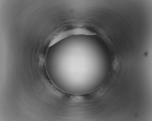 X0000113610476200909251147