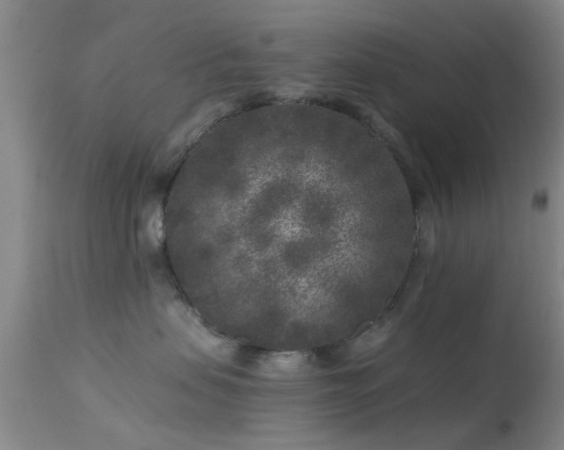 X0000113610479200909251147