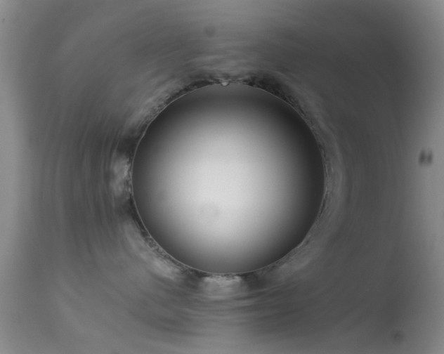 X0000113610480200909251147