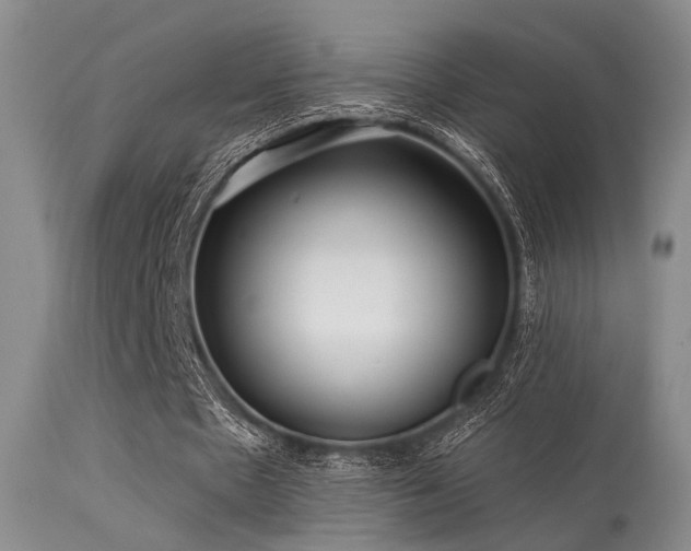 X0000113610481200909251146