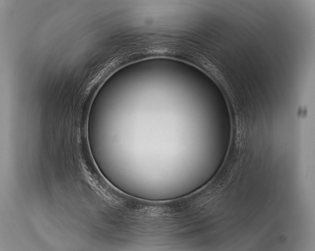 X0000113610482200909251146