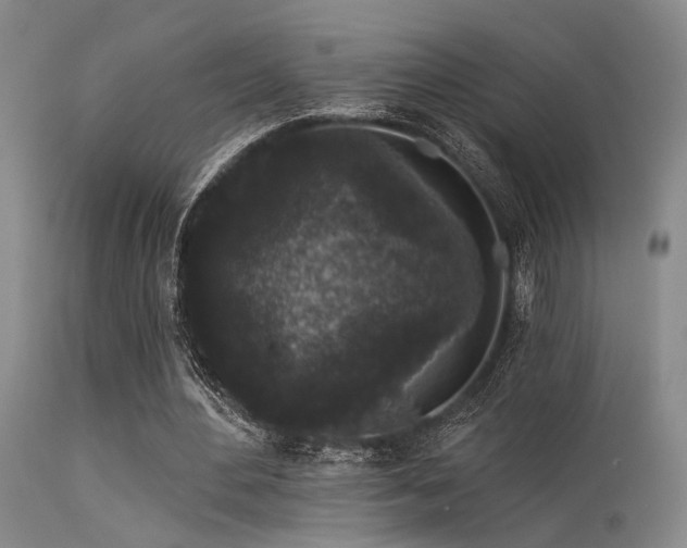 X0000113610484200909251146