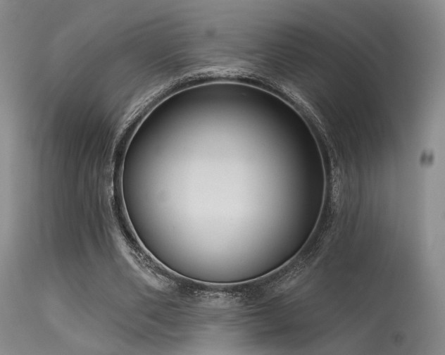 X0000113610486200909251146