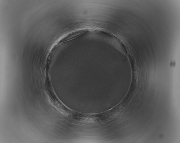 X0000113610488200909251146