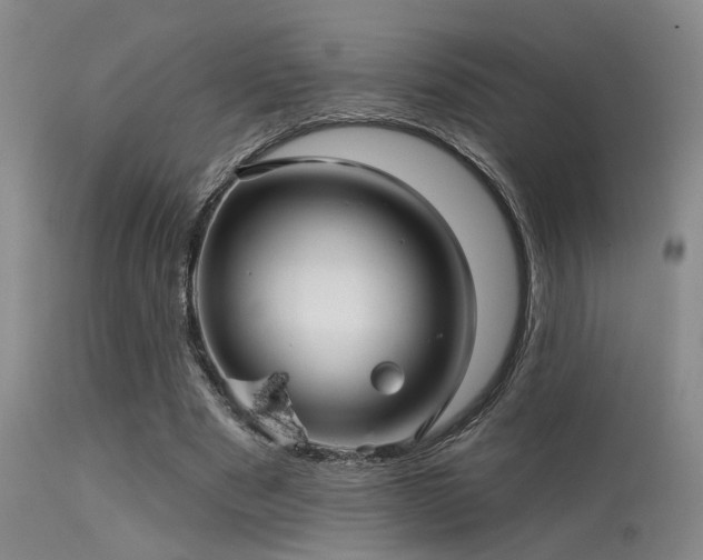 X0000113610489200909251146