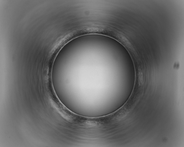 X0000113610490200909251146