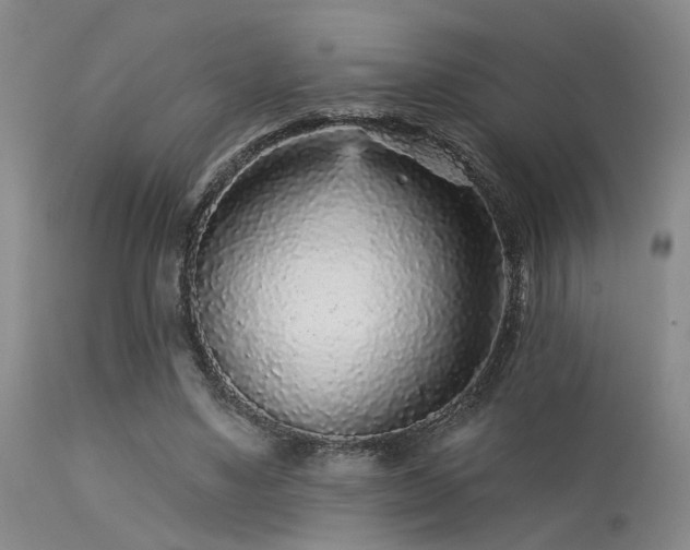 X0000113610491200909251146