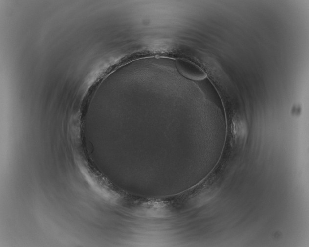 X0000113610492200909251146