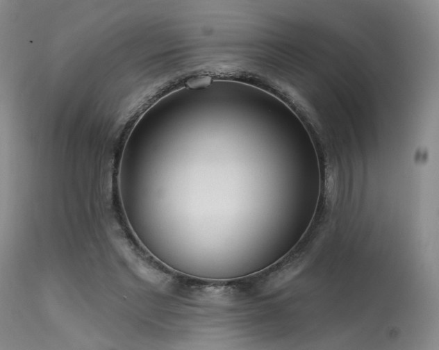 X0000113610493200909251146