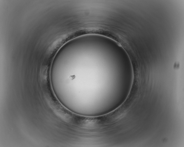 X0000113610495200909251146