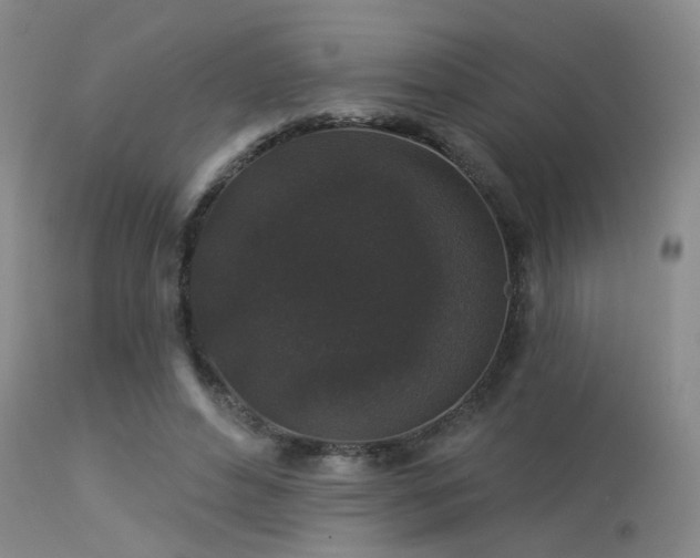 X0000113610496200909251146