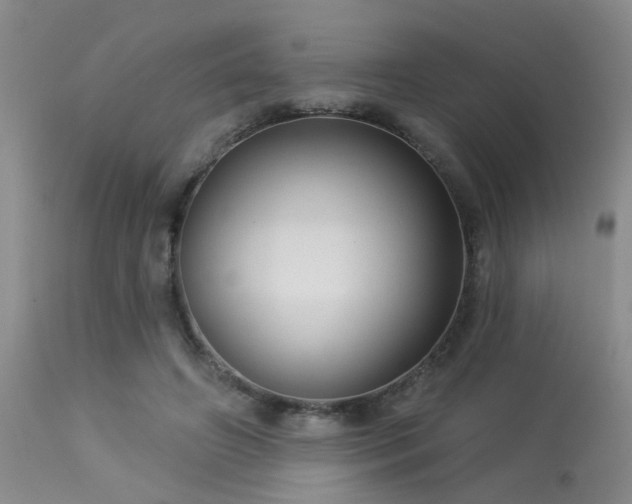 X0000113610498200909251146