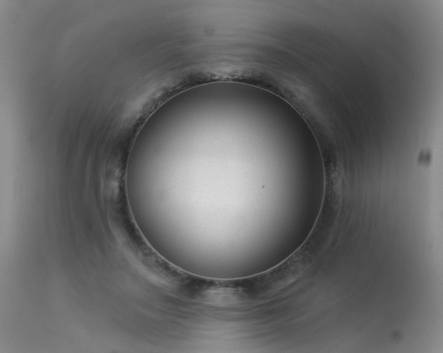 X0000113610499200909251146